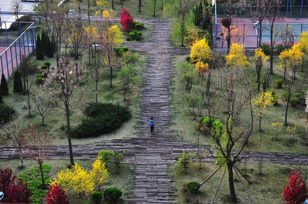 天津美院录取分析：外地考生有85%升学机会，设计类文化410-586分