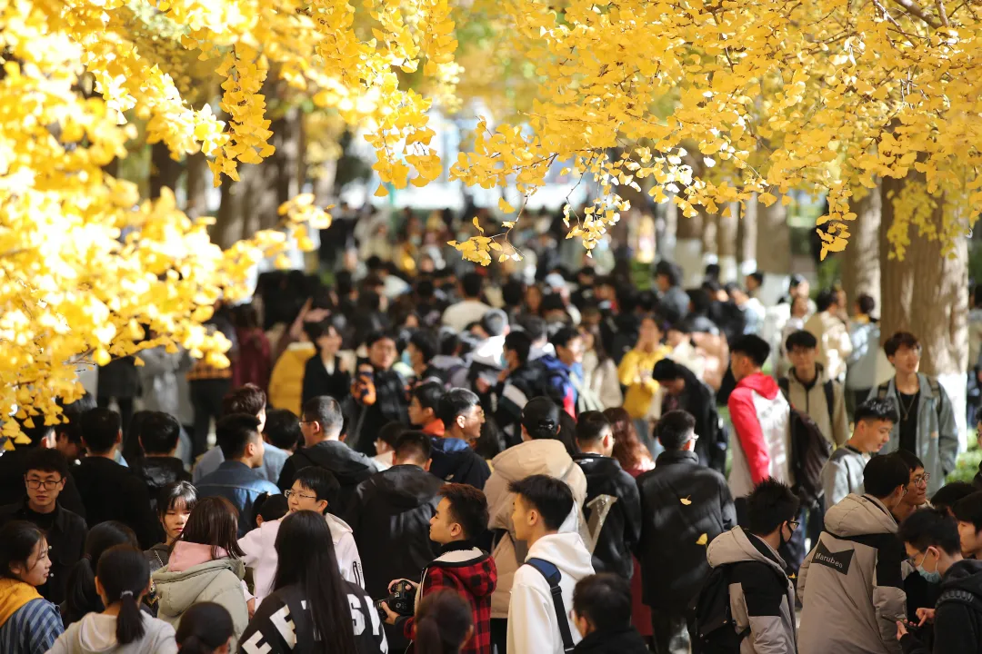 大学优秀毕业生含金量（北京这所大学）