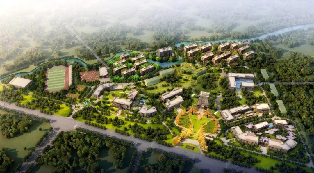 太牛了，四川这个城市五年新增9所新大学