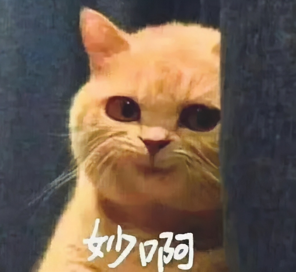iOS14悄悄更新，这功能终于来了