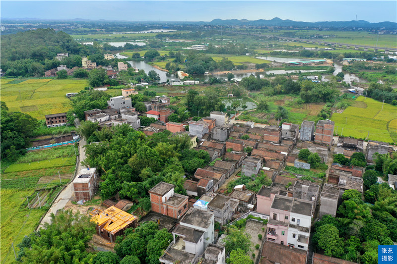 阳江那蓬村探访岭南国画大师关山月故居：关山寄明月，田园忆乡愁