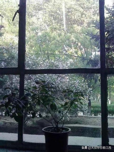 大同医专校园回忆