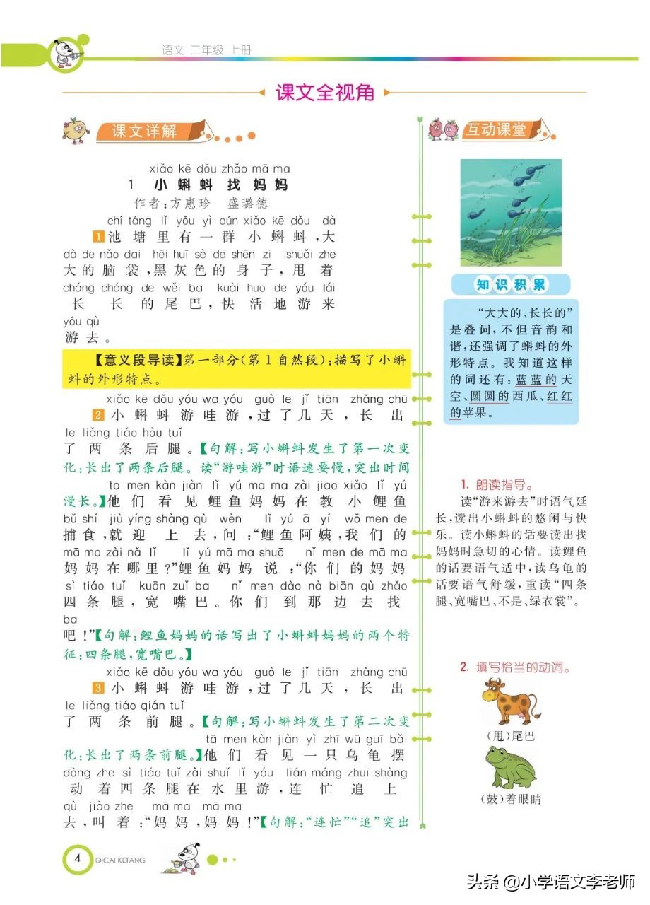 二年级语文上册《小蝌蚪找妈妈》课文解读，附课堂笔记及习题