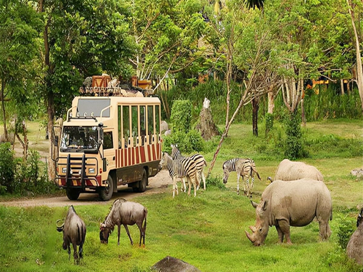 “老虎咬死游客事件”幸存者：至今没有工作，最大心愿是整容