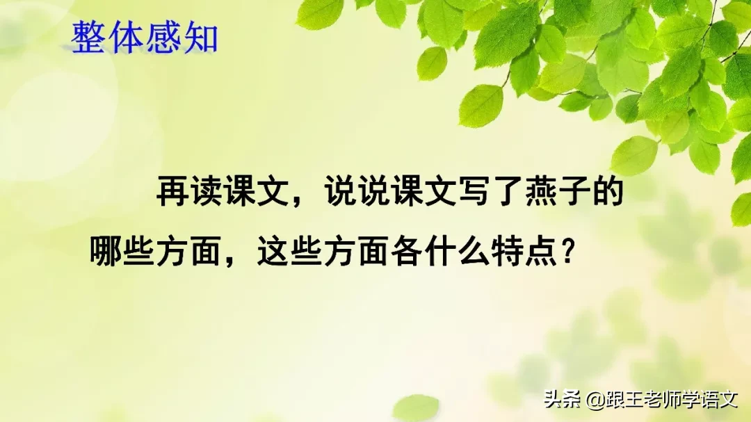 部编语文三年级下册课文2、燕子（朗读+知识点+图解）