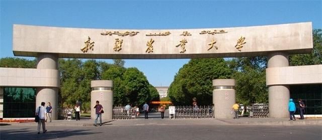 新疆的这4所大学，一本院校里的领头羊，值得报考