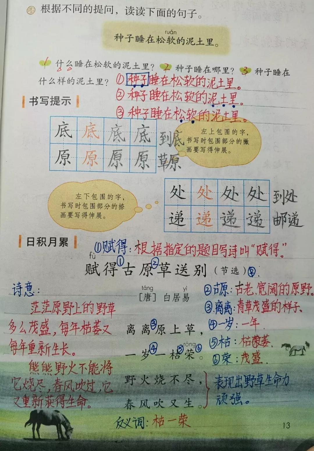 什么什么的微风(二年级语文下册语文园地一课文笔记,家长辅导孩子的好