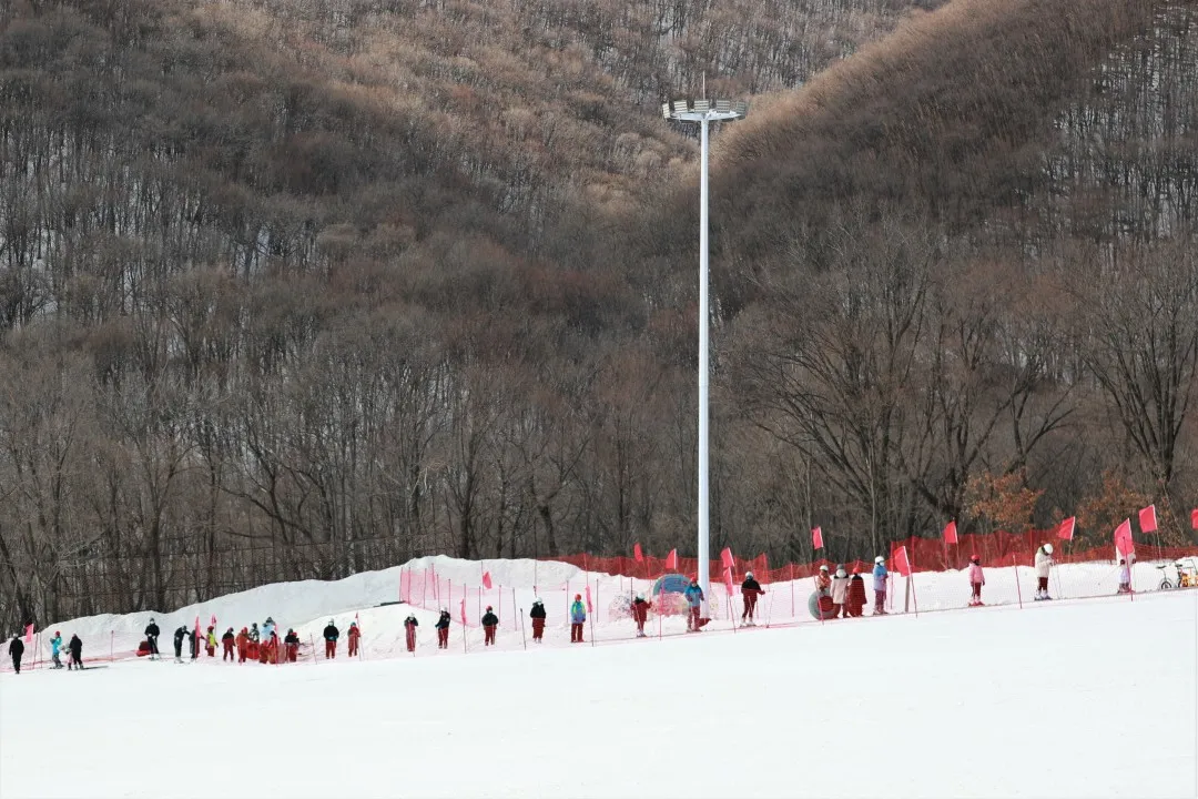 滑粉雪，逛溶洞，来最独特的“原始森林”闹个冬！