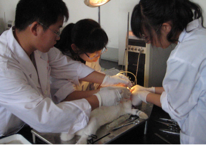 考研后含金量高的专业，不仅就业率高身价飙升，未来发展也很好