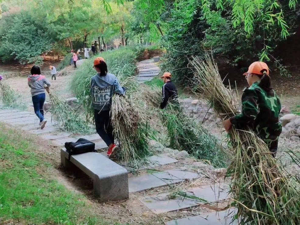 专业解读|计算机科学与技术、信息安全、数据科学与大数据技术