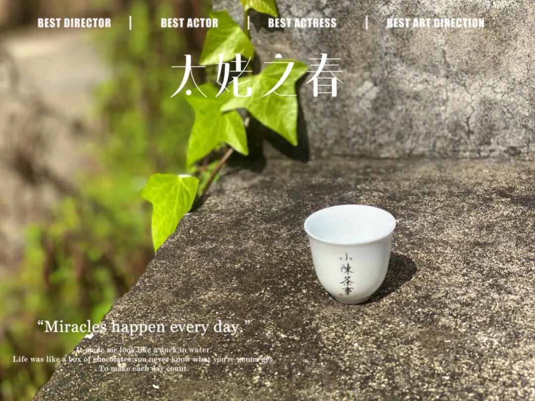 茶农、茶厂、茶商、茶客，春茶季，那些不应该属于白茶的利益之争