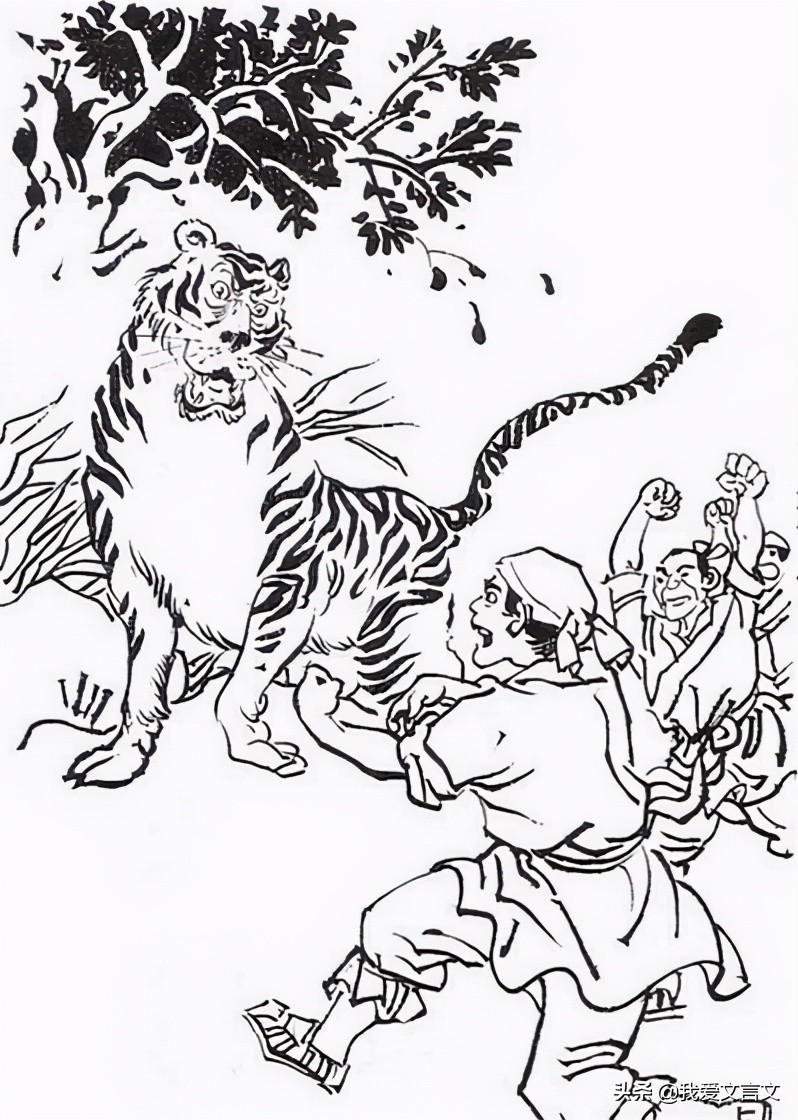 经典文言文赏析 | 冯妇搏虎