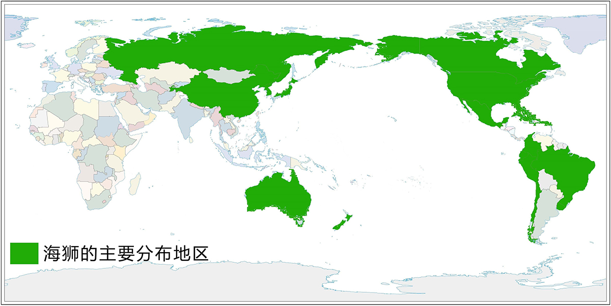 豹海豹和海豹的区别（详解海豹和豹海豹二者的区别）