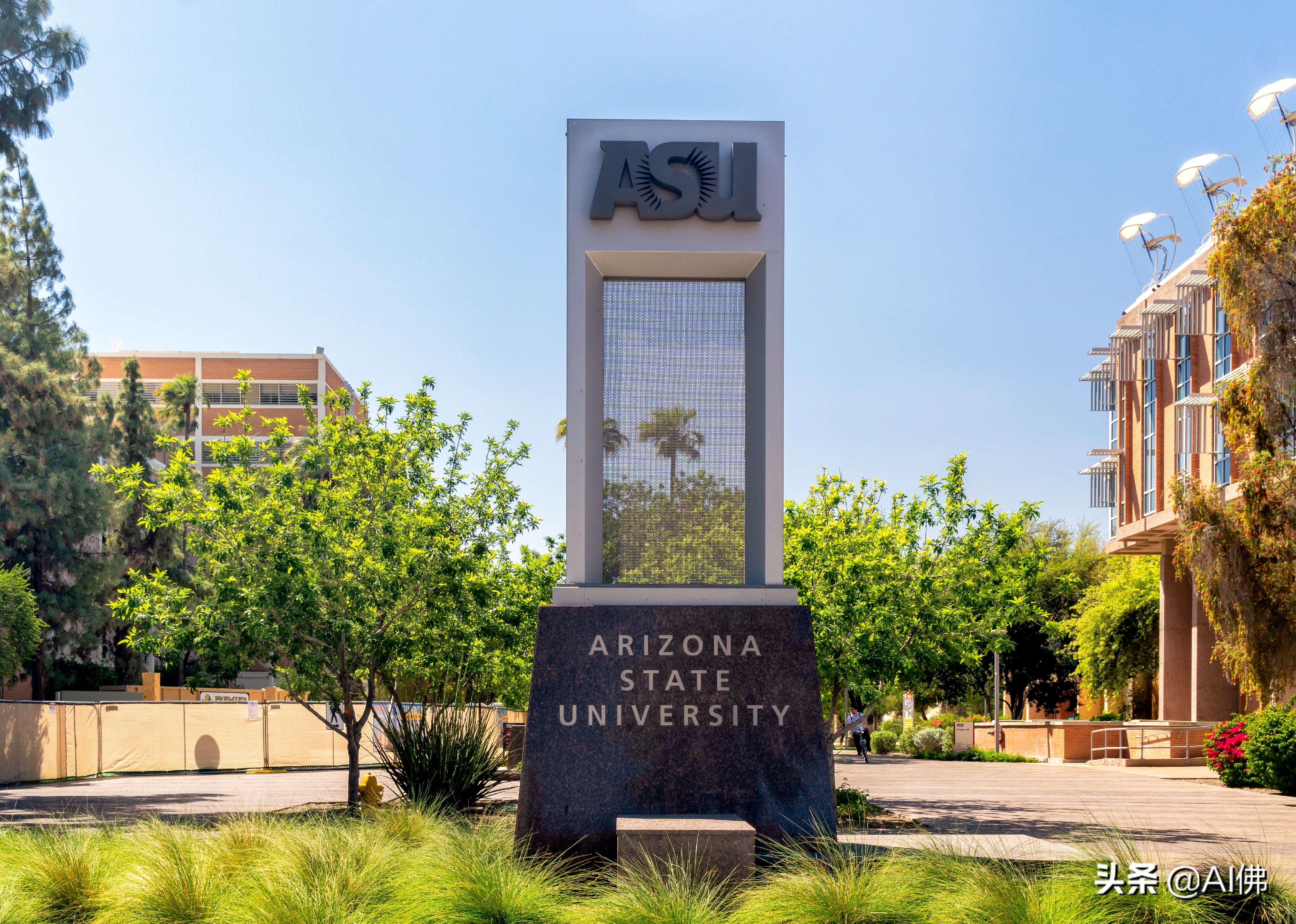 美国每个州ROI最高的公立大学