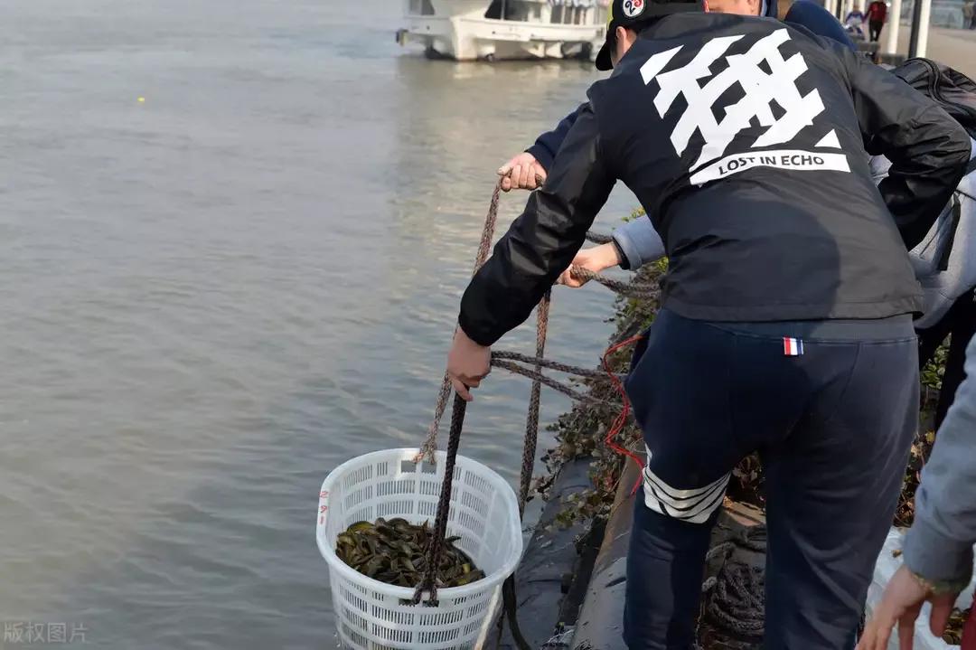 饱受争议的泥鳅钓为何被禁？网友：危害太大，灭绝性钓法