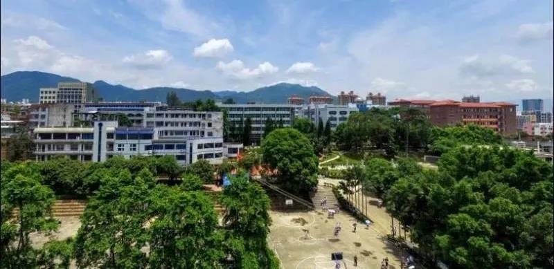 使用老人机、十点半就睡…莆田文理科状元是这样炼成