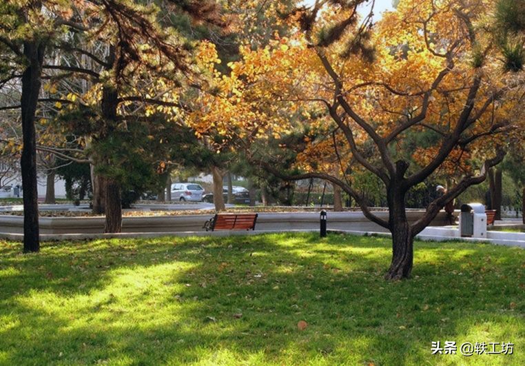 这三所冠名“首都”的大学，虽都不是211，但全是领域实力强校