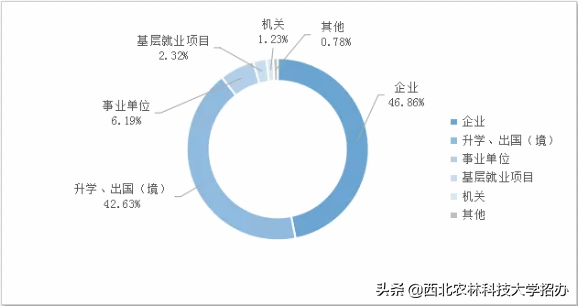 25个专业就业率100%，世界500强都来