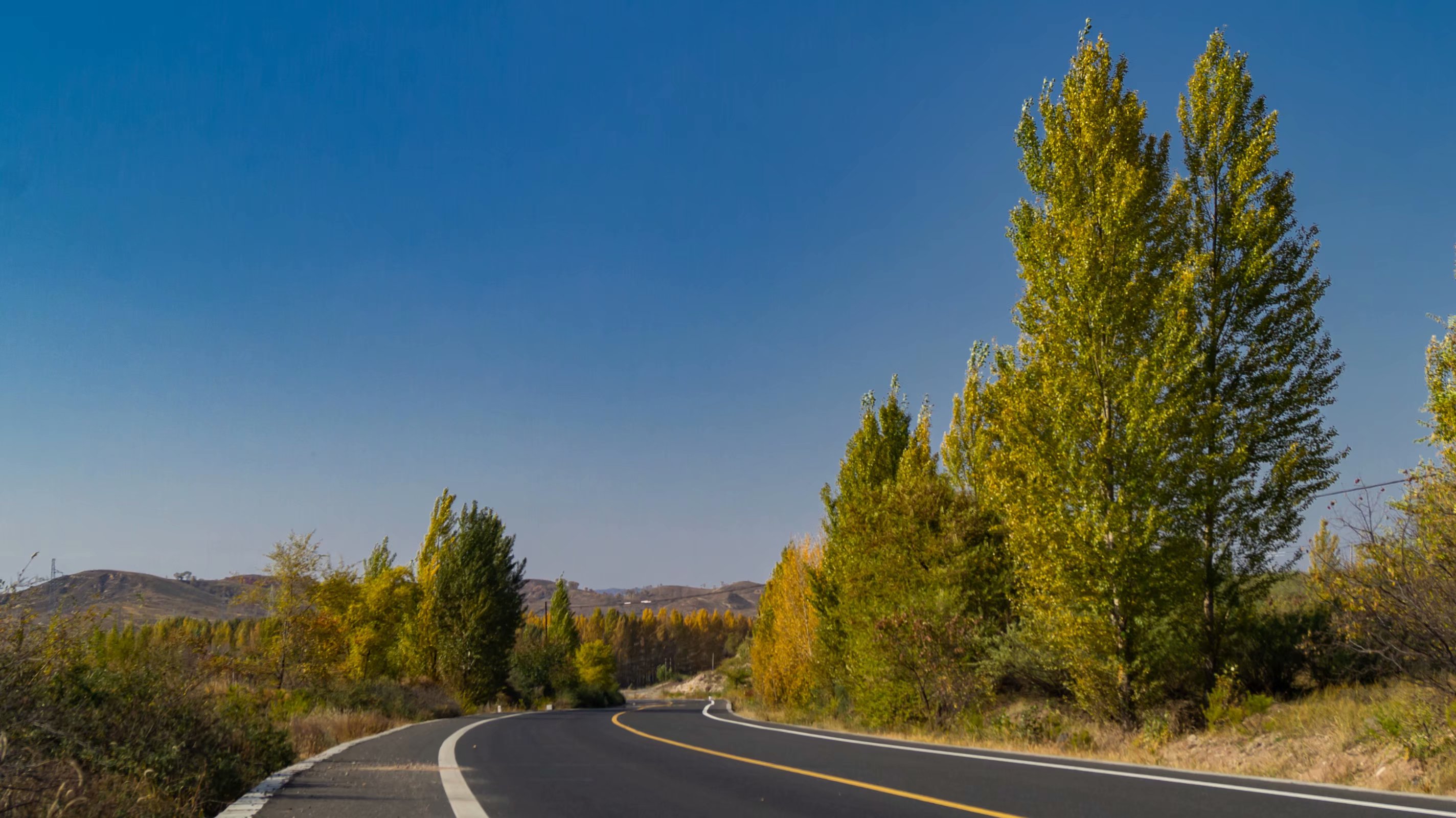 浙江师范大学排名2017（浙江省师范类院校推荐）