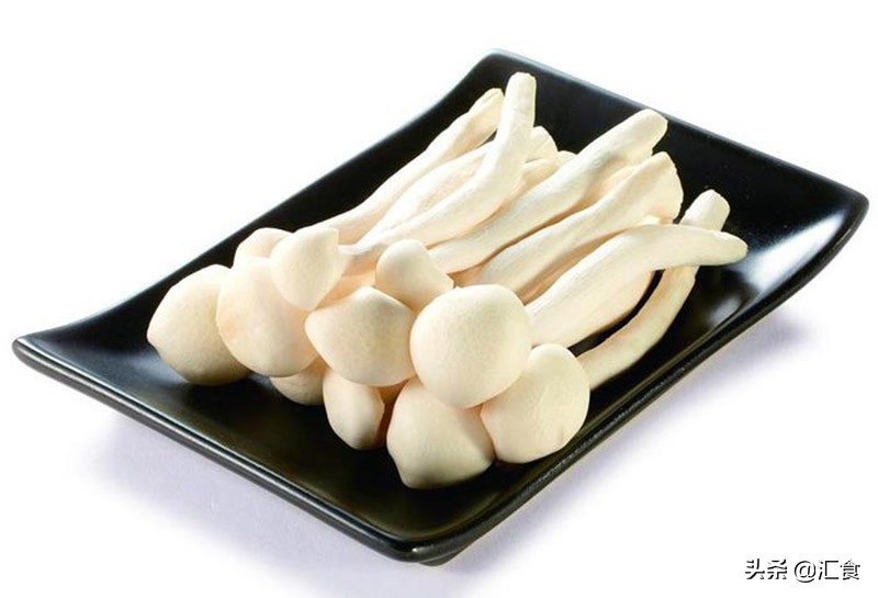 海鲜菇和白玉菇的区别（一文了解2种蘑菇之间的区别）