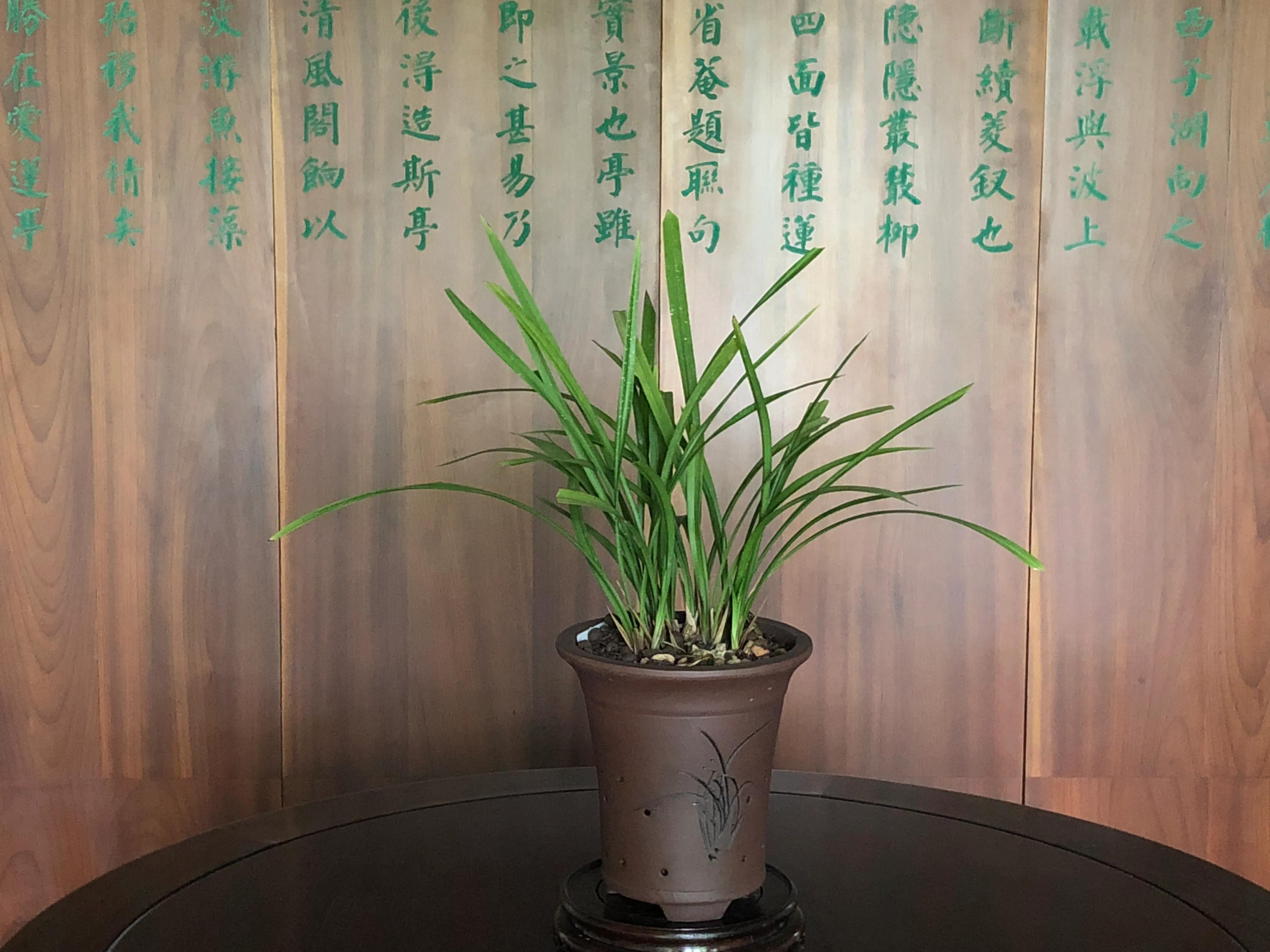 蘇州古典園林之滄浪亭 做夢都想擁有的一座園子 Me前沿