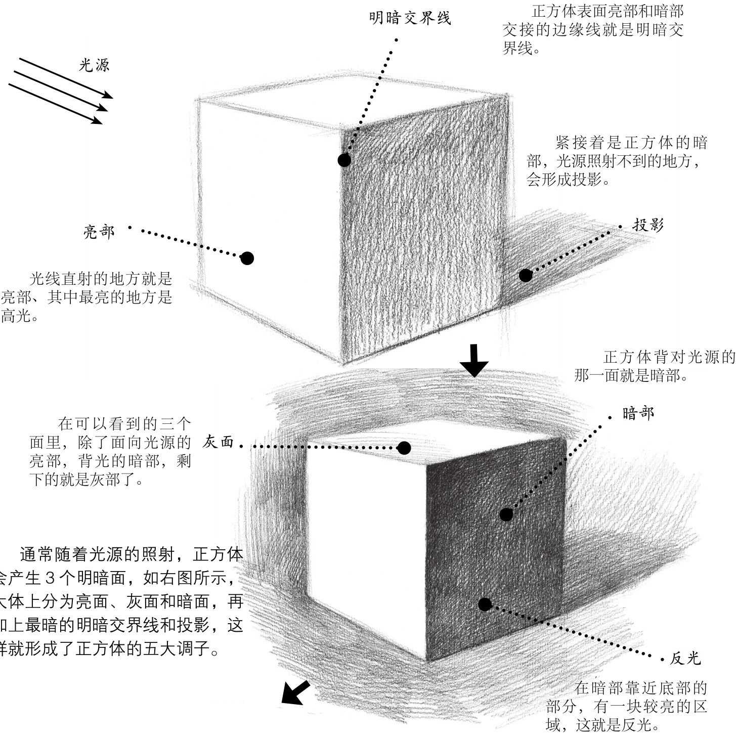 正方形直观图画法图片