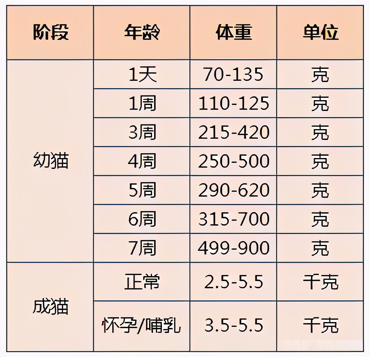 貓咪體重標準對照表,你家貓有超重嗎?