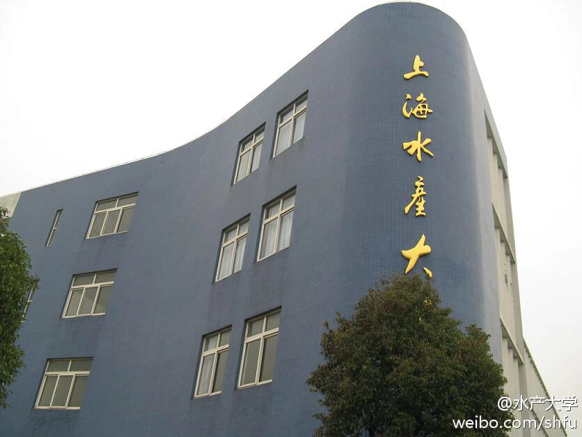 为什么很多人会觉得南汇（惠南）大学城衰落的很严重