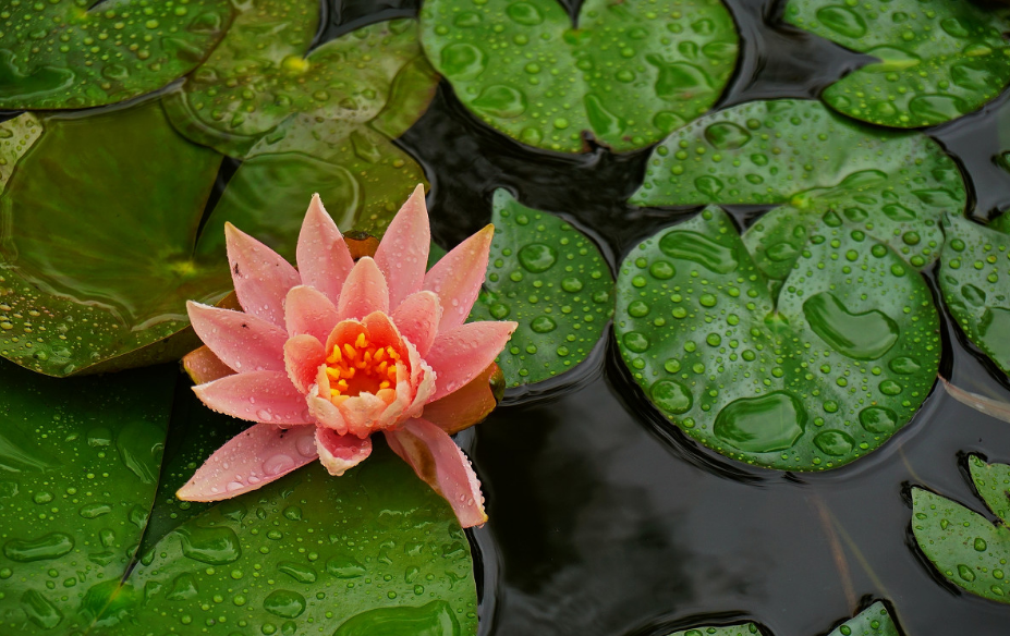 当暴雨遇见古诗词，十五首有关暴雨的诗词，欣赏暴雨的气势与景象​