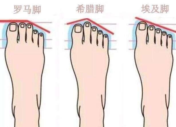 怎么量脚的尺寸买鞋子 38码的鞋是多少厘米