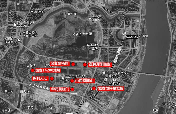 14200限价新盘曝光!今年的洋湖!建议这样选房