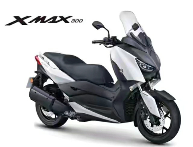 踏板摩托車什么牌子好,踏板摩托車什么牌子好更省油