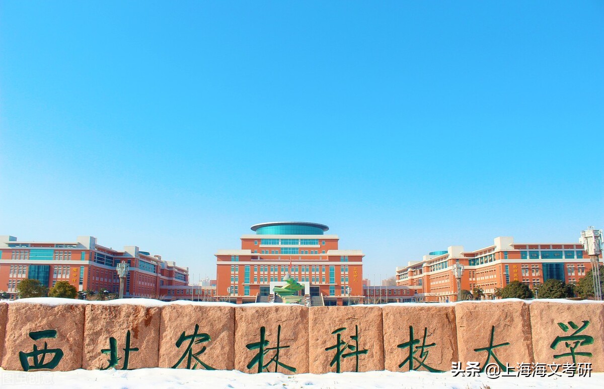 考研推免率低、相对好考的4所985院校