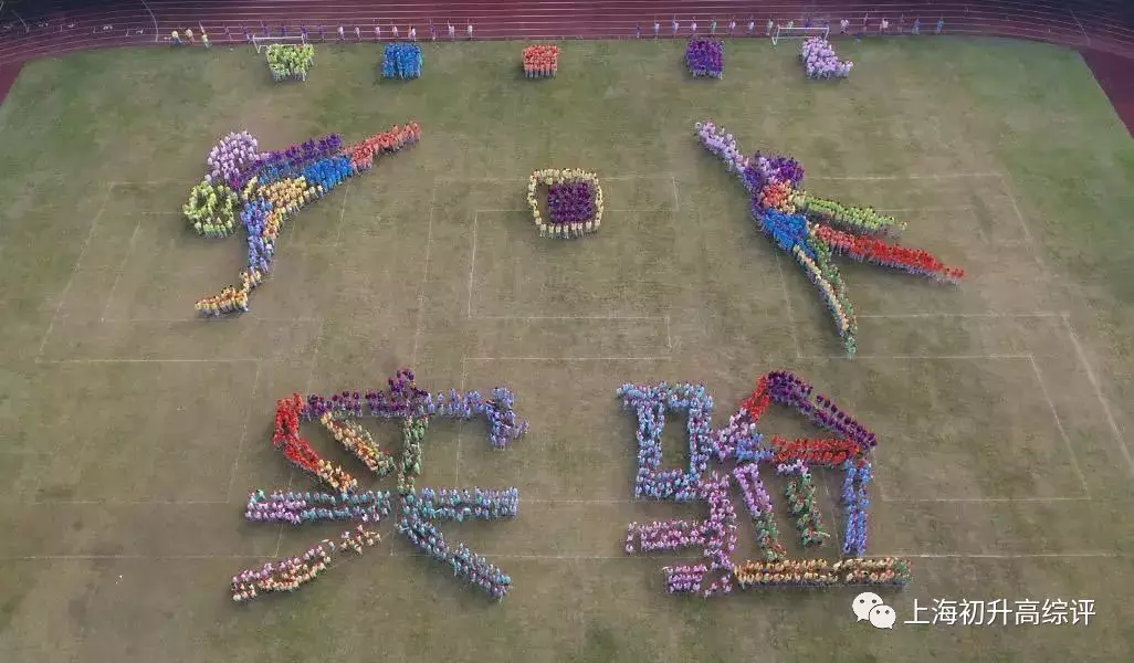 2019上海实验高考惊艳魔都！8个分校，是否配得上“天才”称号？