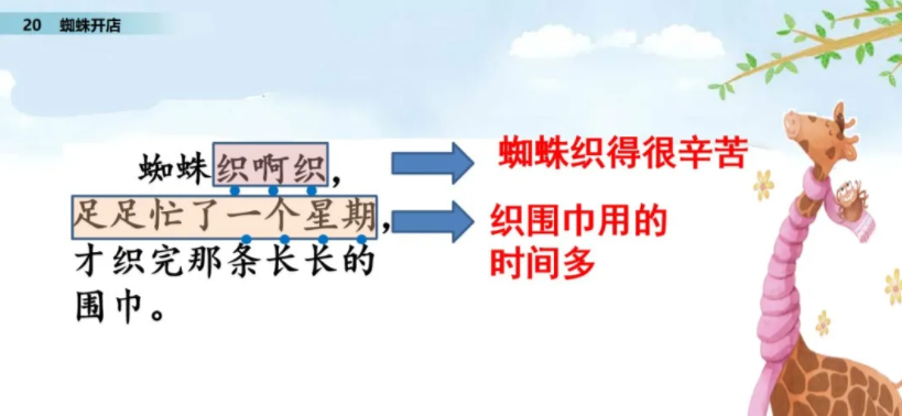 部编版语文二年级下册第20课《蜘蛛开店》第二课时学习指导
