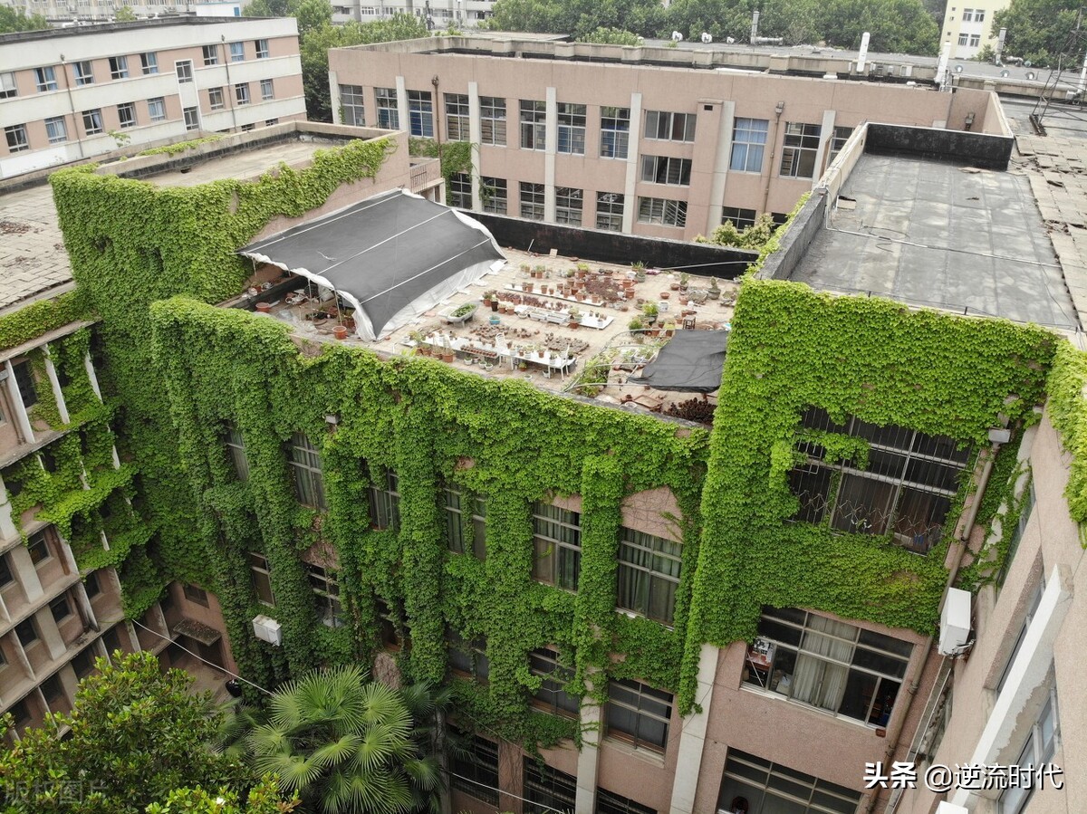 河南农大唯一院士不再担任校长职务，为何不学习郑强超龄服务？