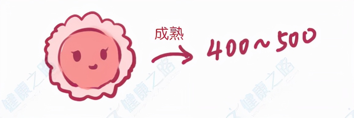 男人一生只能“泄”6000次？女人只能排400颗卵？算算你还剩几次