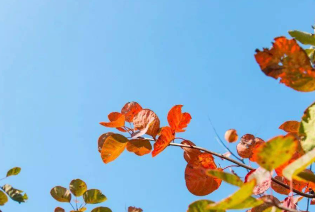 郑州这10个绝佳赏秋地，风景绝美，很多地方都还免费