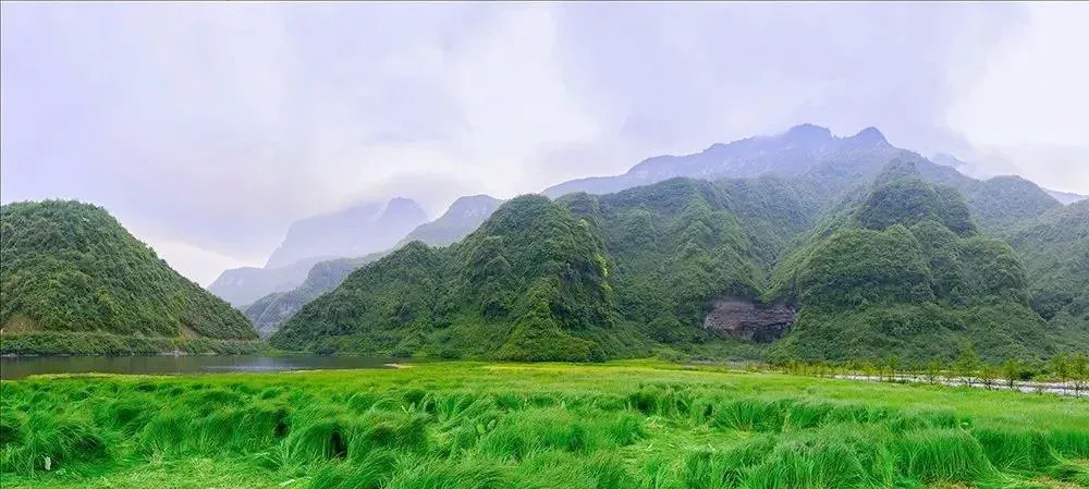 不收门票的世界级风景！赏万亩夏花、观云海日出…成都2天耍来回