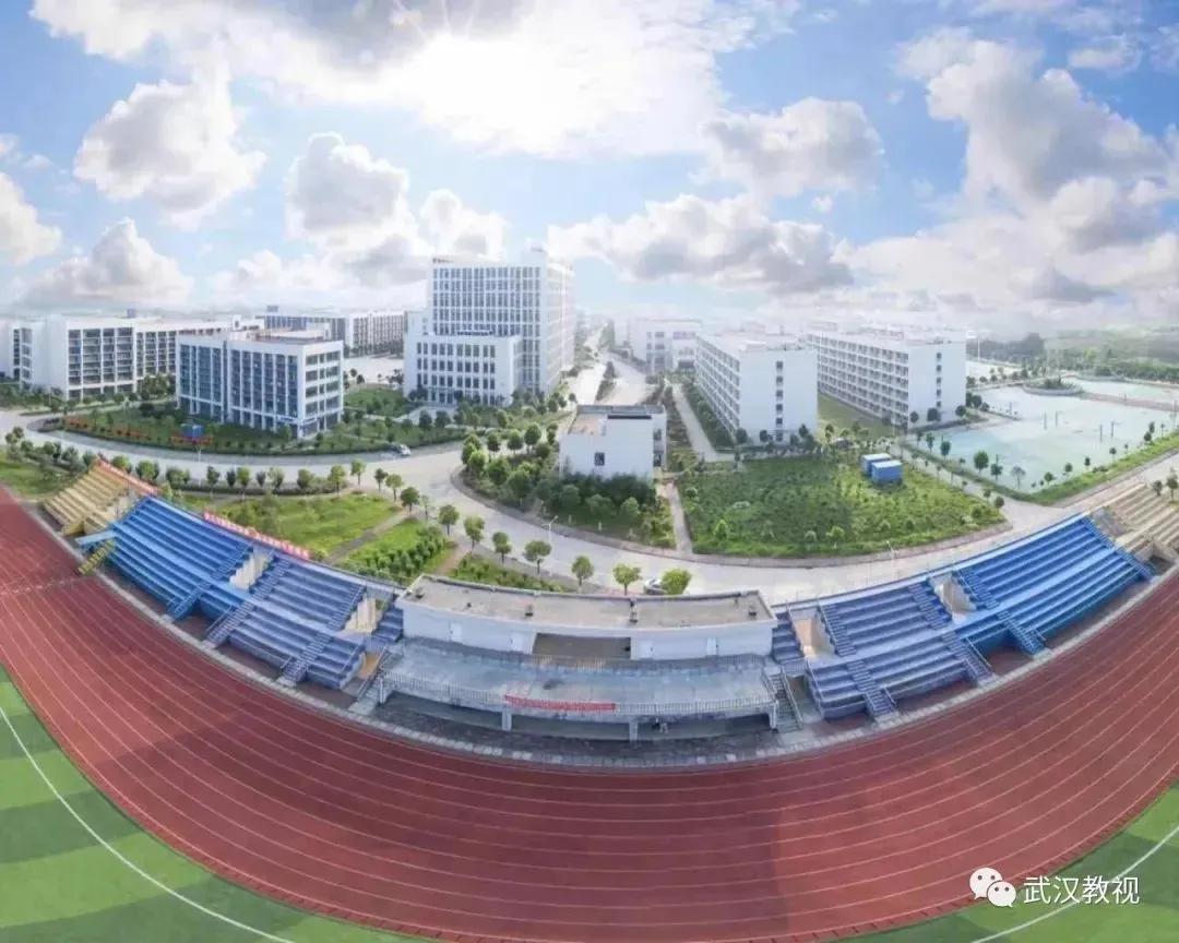 长江新区大学城选址启动，黄陂、江岸、新洲哪个地方最合适？