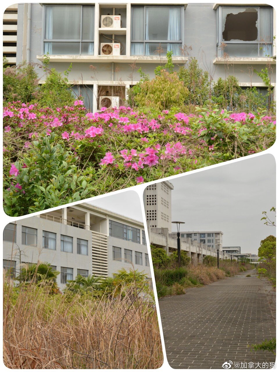 为什么很多人会觉得南汇（惠南）大学城衰落的很严重