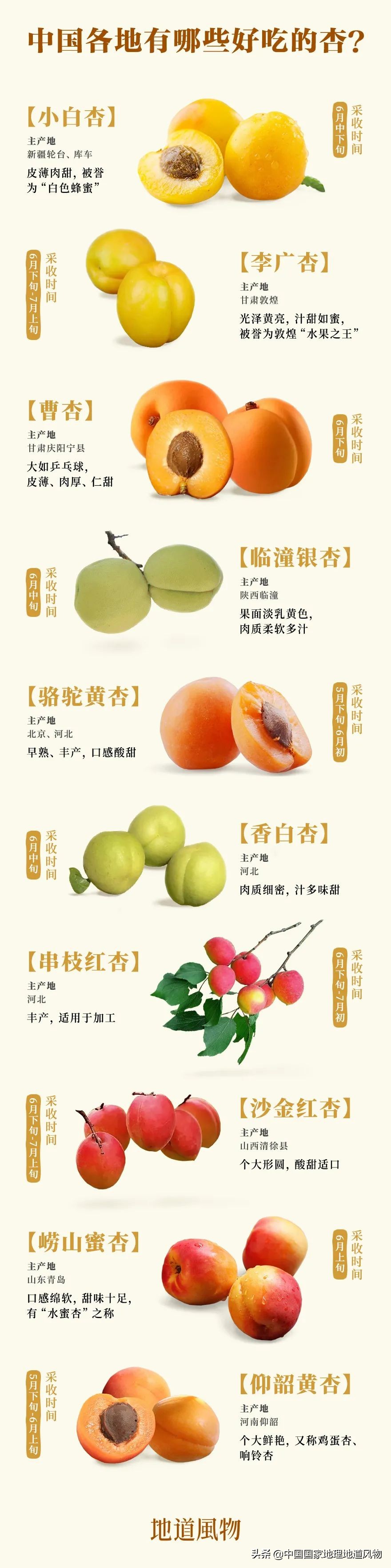 小白杏、大接杏、水蜜杏......中国到底哪里的杏子最好吃？