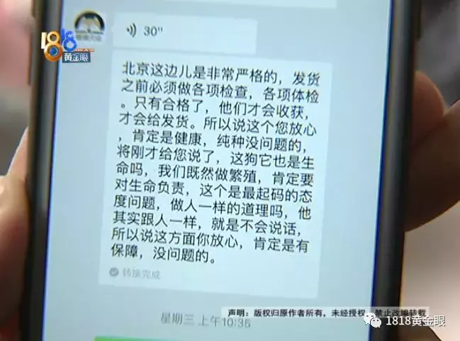 买了公狗收到母狗，卖家说这是“缘分”？