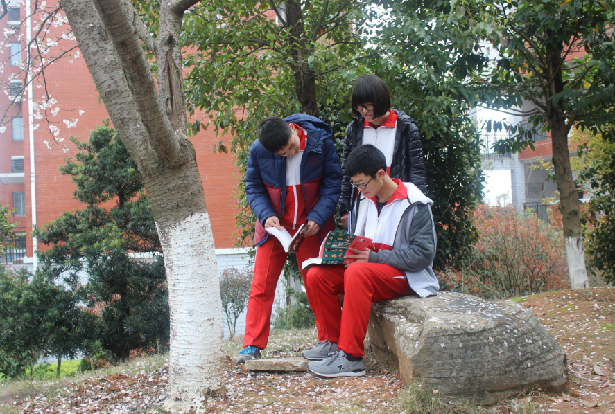 让中学生头疼的4篇文言文，毕业后还能背出来的，当年多半是学霸