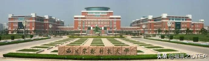 这些茶学专业的高校你知道吗？