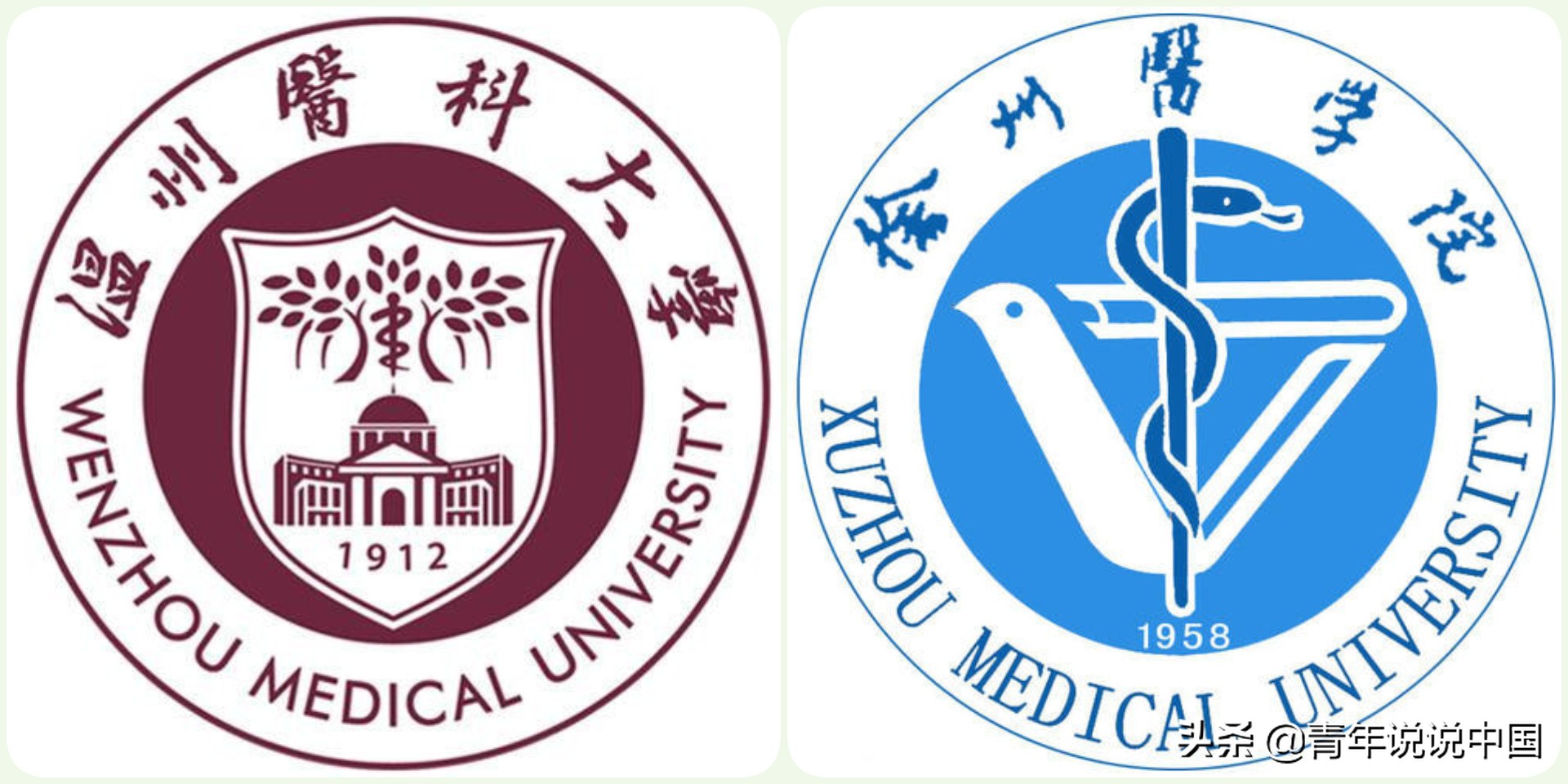 温医与徐医，专业特色明显的地区性医科大学