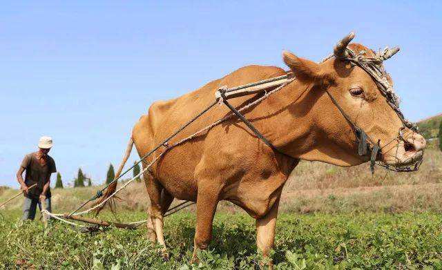 羡慕别的会计8000轻松拿，你累死累活3000，这些问题改了你也能拿