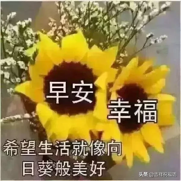 累并快乐着的经典句子（干活累但是快乐的句子）