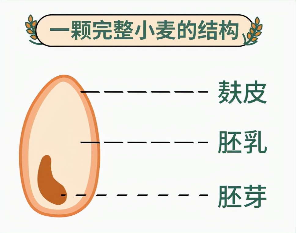 1,小麦粉