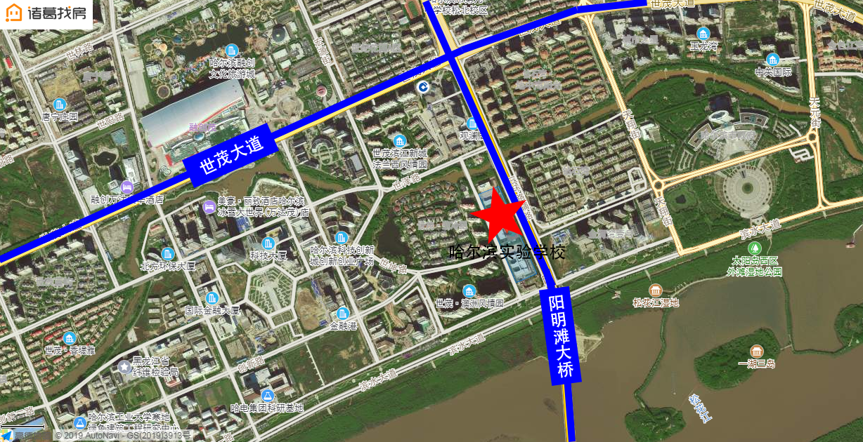 来了！松北区公办小学学区范围出炉！这里的学区房价格是这样的